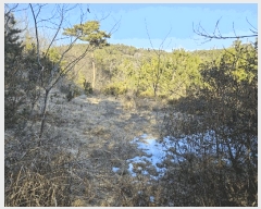  2025Ÿ��50785 �泲 ����� ����� ȯ���� 562-6      ����(�Ӿ�)���