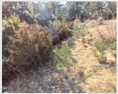  2025Ÿ��50785 �泲 ����� ����� ȯ���� 562-6      ����(�Ӿ�)���