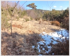  2025Ÿ��50785 �泲 ����� ����� ȯ���� 562-6      ����(�Ӿ�)���