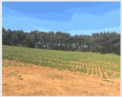  2025Ÿ��50945 �泲 �¾ȱ� �ȸ��� â�⸮ 402-1      ����(��1)���