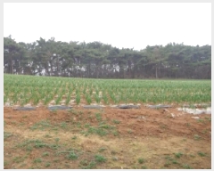  2025Ÿ��50945 �泲 �¾ȱ� �ȸ��� â�⸮ 402-1      ����(��1)���