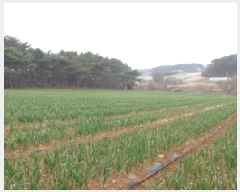  2025Ÿ��50945 �泲 �¾ȱ� �ȸ��� â�⸮ 402-1      ����(��1)���