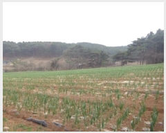  2025Ÿ��50945 �泲 �¾ȱ� �ȸ��� â�⸮ 402-1      ����(��1)���