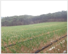  2025Ÿ��50945 �泲 �¾ȱ� �ȸ��� â�⸮ 402-1      ����(��1)���