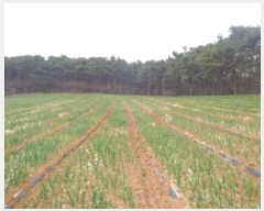  2025Ÿ��50945 �泲 �¾ȱ� �ȸ��� â�⸮ 402-1      ����(��1)���