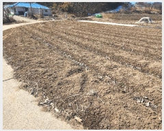  2025Ÿ��50968 �泲 ������ ��õ�� ���ϸ� 53-1      ����(��)���