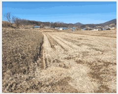  2025Ÿ��50968 �泲 ������ ��õ�� ���ϸ� 53-1      ����(��)���