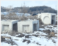  2025Ÿ��51055  ����