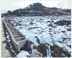  2025Ÿ��51055  ����