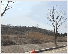  2025Ÿ��51068 �泲 ������ �ۻ�� ��� 443      ����(����)���