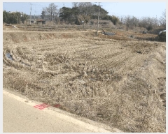  2025Ÿ��51085  ����