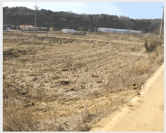  2025Ÿ��51085  ����