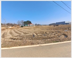  2025Ÿ��51085  ����