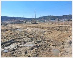  2025Ÿ��51085  ����