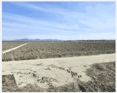  2025Ÿ��51138 �泲 ������ �մ��� ������ 201-1      ����(��)���