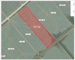  2025Ÿ��51138 �泲 ������ �մ��� ������ 201-1      ����(��)���