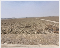  2025Ÿ��51138 �泲 ������ �մ��� ������ 201-1      ����(��)���