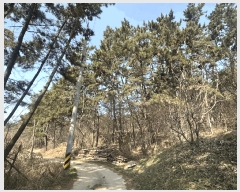  2025Ÿ��51139 �泲 ����� ����� ȭ� 981-18      ����(�Ӿ�)���