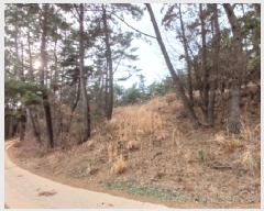  2025Ÿ��51139 �泲 ����� ����� ȭ� 981-18      ����(�Ӿ�)���