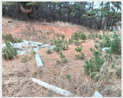  2025Ÿ��51139 �泲 ����� ����� ȭ� 981-18      ����(�Ӿ�)���