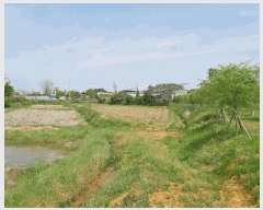  2025Ÿ��51190 �泲 ������ �۾��� ���븮 121      ����(��)���