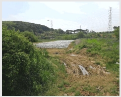  2025Ÿ��51190 �泲 ������ �۾��� ���븮 121      ����(��)���