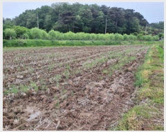  2025Ÿ��51190 �泲 ������ �۾��� ���븮 121      ����(��)���