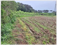  2025Ÿ��51190 �泲 ������ �۾��� ���븮 121      ����(��)���