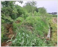  2025Ÿ��51190 �泲 ������ �۾��� ���븮 121      ����(��)���