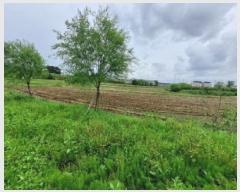  2025Ÿ��51190 �泲 ������ �۾��� ���븮 121      ����(��)���