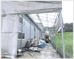  2025Ÿ��51204  ������