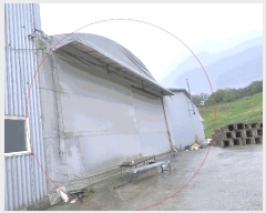  2025Ÿ��51204  ������