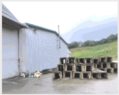  2025Ÿ��51204  ������