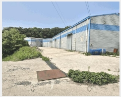  2025Ÿ��51219  â�����