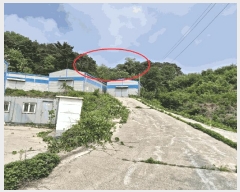  2025Ÿ��51219  â�����