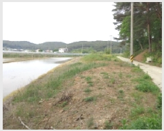  2025Ÿ��51223 �泲 �¾ȱ� �ȸ��� ���縮 1132-12      ����(��)���