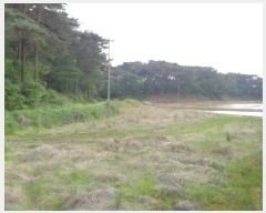  2025Ÿ��51223 �泲 �¾ȱ� �ȸ��� ���縮 1132-12      ����(��)���