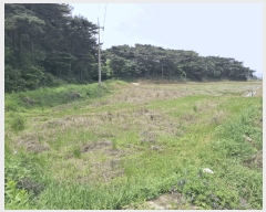  2025Ÿ��51223 �泲 �¾ȱ� �ȸ��� ���縮 1132-12      ����(��)���