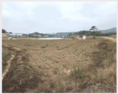  2025Ÿ��51253  �����