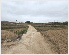  2025Ÿ��51253  �����