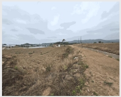  2025Ÿ��51253  �����