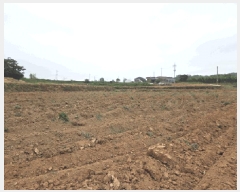  2025Ÿ��51253  �����