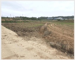  2025Ÿ��51253  �����