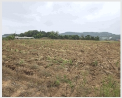  2025Ÿ��51253  �����