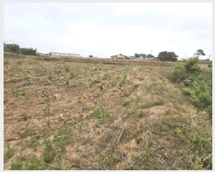  2025Ÿ��51253  �����