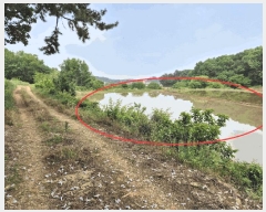  2025Ÿ��51309 �泲 ������ �۾��� ���︮ 646      ����(��)���