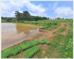  2025Ÿ��51309 �泲 ������ �۾��� ���︮ 646      ����(��)���