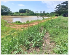  2025Ÿ��51309 �泲 ������ �۾��� ���︮ 646      ����(��)���