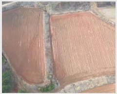  2025Ÿ��25  �����