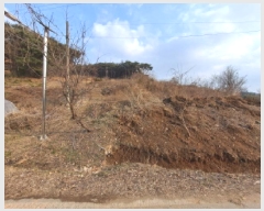  2025Ÿ261 泲  ۾  161-3      (Ӿ)